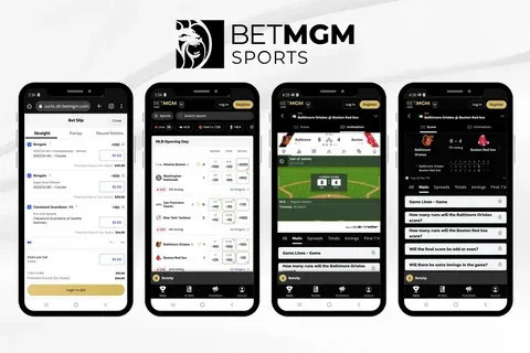 ceu777 bet app 