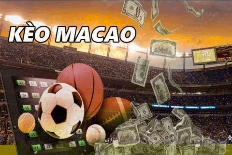 hoje deu green significado 